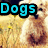 A pixelated image of a light brown dog in a grassy field with yellow flowers, overlaid with the word "Dogs" in cyan, red, and green text across different sections.