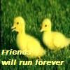 Two yellow ducklings stand on green grass with text reading 'Friends will run forever' in yellow font.