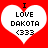 Two identical pixelated heart-shaped icons on red background with black text reading I LOVE DAKOTA (333) inside each heart.