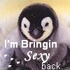 A pixelated penguin chick with black and white plumage, a small beak, and a blurred background, overlaid with white text reading "I'm Bringin Sexy Back.".