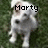 Pixelated image of a white dog standing on green grass with the text 'Morty' overlaid in black block letters.