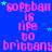 Blue background with repeated pink text 'softball is life to brittany' and scattered cyan stars, no visible animation changes.