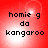 Red background with pixelated text reading 'homie g da kangaroo' in black, showing subtle brightness variations across four