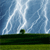 Pixelated landscape with green fields, dark green tree, and blue sky with white cloud streaks.