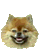 Pixelated dog head with smiling expression, four variations with pink text overlays on gray background.