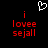 A black background displays red pixelated text reading 'i lovee sejall' with a white heart outline above, showing two identical static frames.