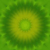circular green and yellow kaleidoscopic patterns with varying central shapes and border styles on a green background