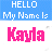 A pixelated graphic with blue header bars reading 'HELLO My Name Is' above pink text spelling 'Kayla', showing animation where the rightmost letters fade to light purple.