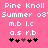 Pixelated text and symbols on a pink background with two identical side-by-side layouts featuring 'Pine Knoll Summer 08' and 'm.b l.c a.s r.b' text above four black and brown symbols.