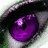 Four distinct eye close-ups arranged in a , each with unique iris colors and visible eyelashes