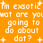 Orange background with white pixelated text repeating 'im exsotic im exsoic wat are youwat are you going to do about dot? dot?' in multiple