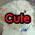 Six distinct animal images arranged in a with overlaid text: white dog, white dog, cat, golden retriever, two black dogs. Text reads 'Cute', 'Dogs', 'Rule', 'The', 'World' in colored fonts