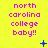 Yellow background with pink text reading 'north carolina college baby!!' and blue pixelated symbols scattered across the image.