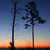 Silhouetted trees against a gradient sky transitioning from orange at the horizon to dark blue at the top, with pixelated rendering.
