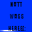 Blue background with repeated black pixelated text 'HATT', 'WASS', and 'HEREEC:' arranged in a , where 'HEREEC:' has a white horizontal line beneath it