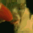 A three- animated sequence shows a person with light skin and dark hair eating, followed by text stating 'pete is one messy eater.' and 'and nobody likes a messy eater.' on black backgrounds