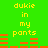 Green background with yellow text 'dukie in my pants' and orange horizontal bars in two distinct arrangements.