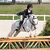 Four distinct horse-related scenes arranged in a : a rider on a white horse jumping over a fence, a rider on a dark horse near a barrel, a close-up of a brown horse's head, and an empty gray