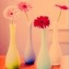 Four flower vases with pink and red blooms on a soft-toned background.