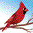 Static pixel art of a red bird perched on a branch against a blue and white background with scattered light-colored pixels.