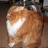 A pixelated static image shows a light brown and white animal with rounded ears, viewed from behind on a dark background.