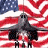 A pixelated image shows a gray jet aircraft against an American flag background, with green text reading "Original Icons .com" on the right side.