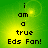Green background with yellow gradient center displaying 'i am a true Eds Fan!' in black pixelated text, four identical