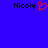 Blue background with two 'Nicole' text labels; left label has a red pixelated heart symbol replacing the letter O.