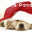 A dog wearing a red Santa hat peeks over a white surface with pixelated text above it changing across frames.