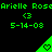 Green triangular icon with a heart symbol, repeated in above and below text displaying 'Arielle Rose' and date '5-14-08'