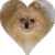 Static pixelated image of a dog's face shaped into a heart, with brown fur and black eyes/nose on light gray background.