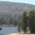 Pixelated landscape with water, trees, and distant hills under a light blue sky.
