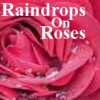 A static image of a pink rose with overlaid text reading "Raindrops On Roses" in white serif font.