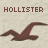 Hollister logo icon with seagull silhouette in varying colors across multiple