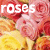 Pixelated image of pink and red roses with yellow flowers, featuring white text reading 'roses' in the top-left corner.