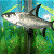 A pixelated fish swims left to right against a green and blue background with bright green text reading 'Original Icons .com' on the right.