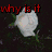 Six rose images arranged in a with red text overlays forming the phrase 'why is it that the right words never come when I finally see you?'