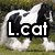A horse with black and white patches stands on grass, overlaid with text labels in a