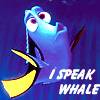 Blue cartoon fish with large eyes and yellow fins holds a yellow object, text reads 'I SPEAK WHALE' on dark blue background.