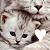 Pixelated image of two light gray kittens with dark eyes and noses, one partially behind the other on a black background.