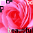 A static image of pink roses with swirling petals, overlaid with repeated text and small square patterns.