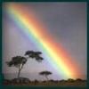 A static image shows a diagonal rainbow spanning a cloudy sky above three acacia-like trees on a flat horizon.
