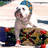 Pixelated image of a dog wearing a blue cap and patterned clothing with text reading 'My Dawg is sooo Ganagsta!' in green block letters.
