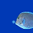 iconhell_pirate153_fishroar