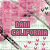 Pixelated pink floral pattern with 'DANI CALIFORNIA' text in dark green and red, small pink hearts scattered across a light background