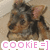 Pixelated dog face with brown and black fur, pink ears, and a white background beneath text reading 'cookie =]' in pink letters.