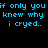 Blue pixelated text on black background repeats 'if only you knew why i cried.' twice in two identical