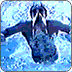 Animated sequence of a figure in dark swimwear performing underwater movements against blue water background.