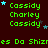 Green text reading 'Cassidy Charley Cassidy' and 'es Da Shizres Da Shizres' on dark background with blue stars, repeated in pattern