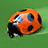 A pixelated ladybug with orange shell and black spots rests on a green background, surrounded by red text reading "Red LadyBug 2892 IS" and "Gina She Rox ACCEPT IT!!!"